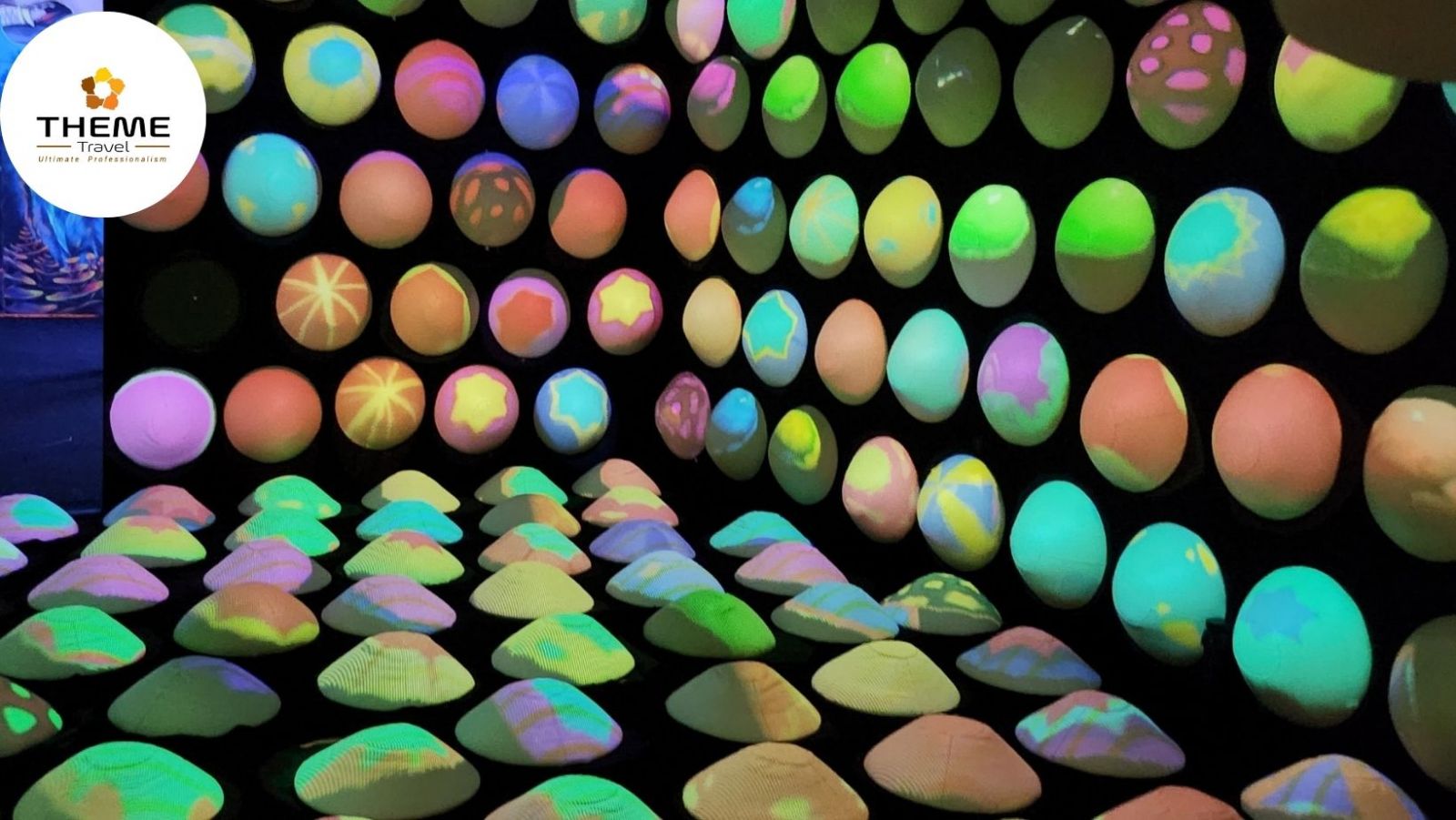 tour tham quan thành phố ánh sáng Jazzy Paradise - tour học sinh