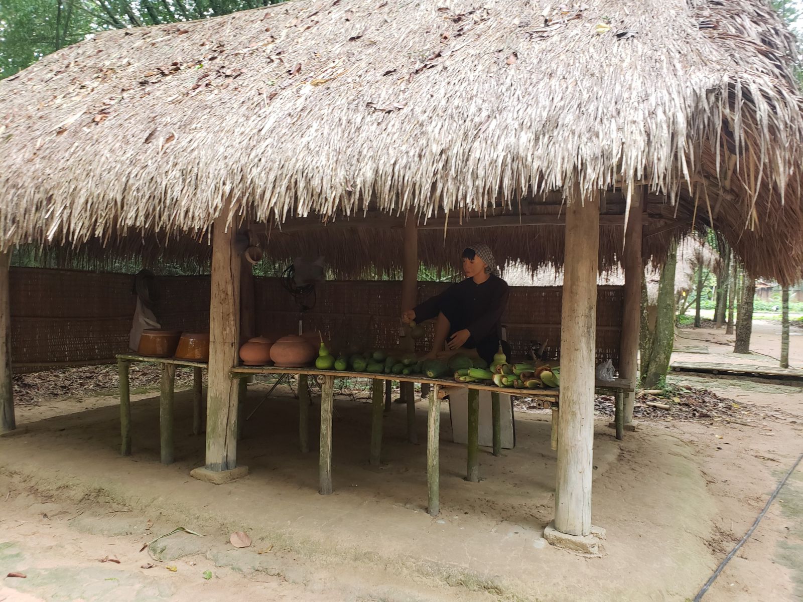 Theme-travel-dia-dao-cu-chi